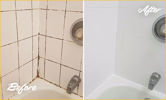 Before and After Picture of a Fulshear Shower Tile and Grout Cleaned to Eliminate Mold