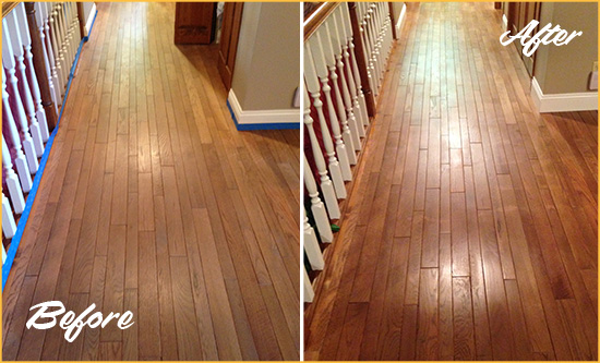 Before and After Picture of a Orchard Wood Sand Free Refinishing Service on a Worn Out Floor