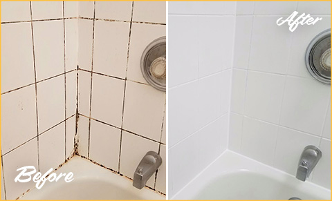 See How a Grout Cleaning Saved This Ceramic Tile Shower in Houston