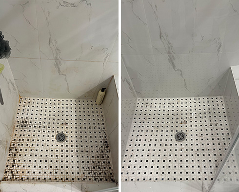 Shower Before and After a Tile Cleaning in Houston, TX