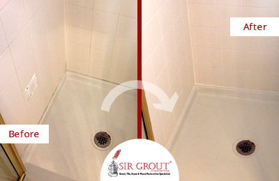 Beautiful Grout Sealing Job Revitalizes Customer's Shower in Sugar Land