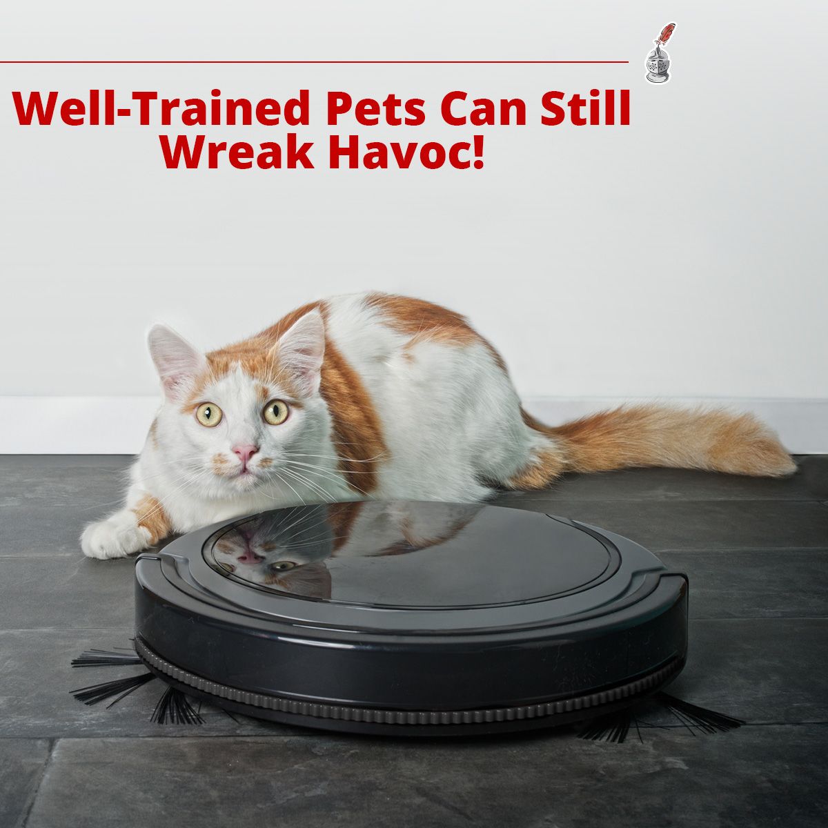 Well-Trained Pets Can Still Wreak Havoc!
